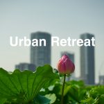 lotus flower and buildings