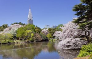 Shinjuku Gyoen 