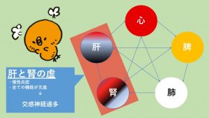 five element liver kidney disfunction