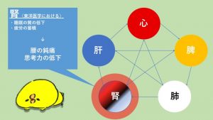 five element kidney disfunction