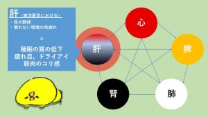 five element liver disfunction