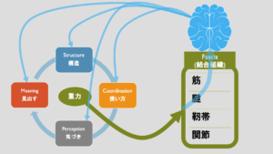 gravity of rolfing.2